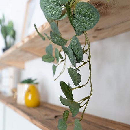 Cosy Appartement, Plein Centre, Proche Lac อานซี ภายนอก รูปภาพ